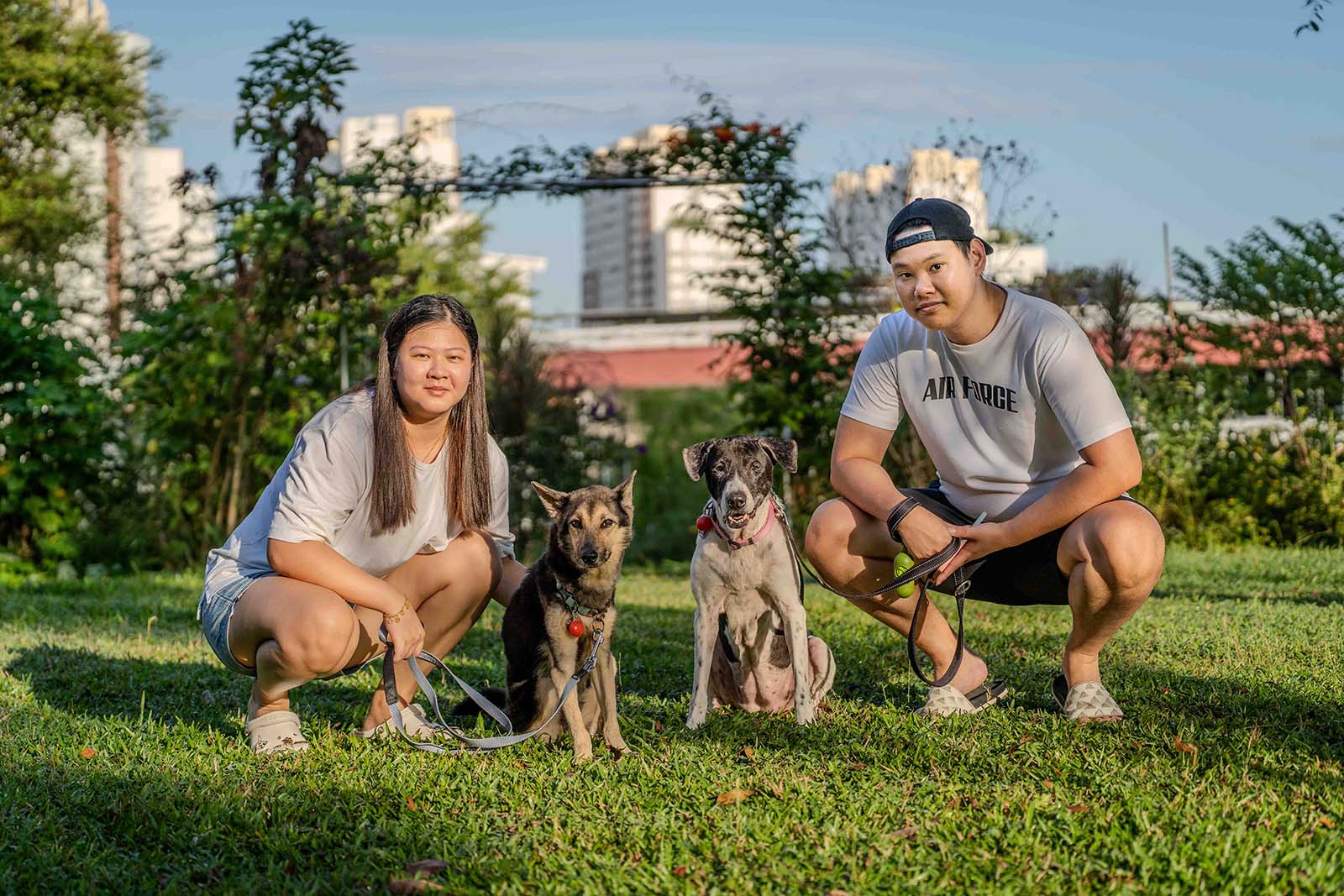Pet Photography