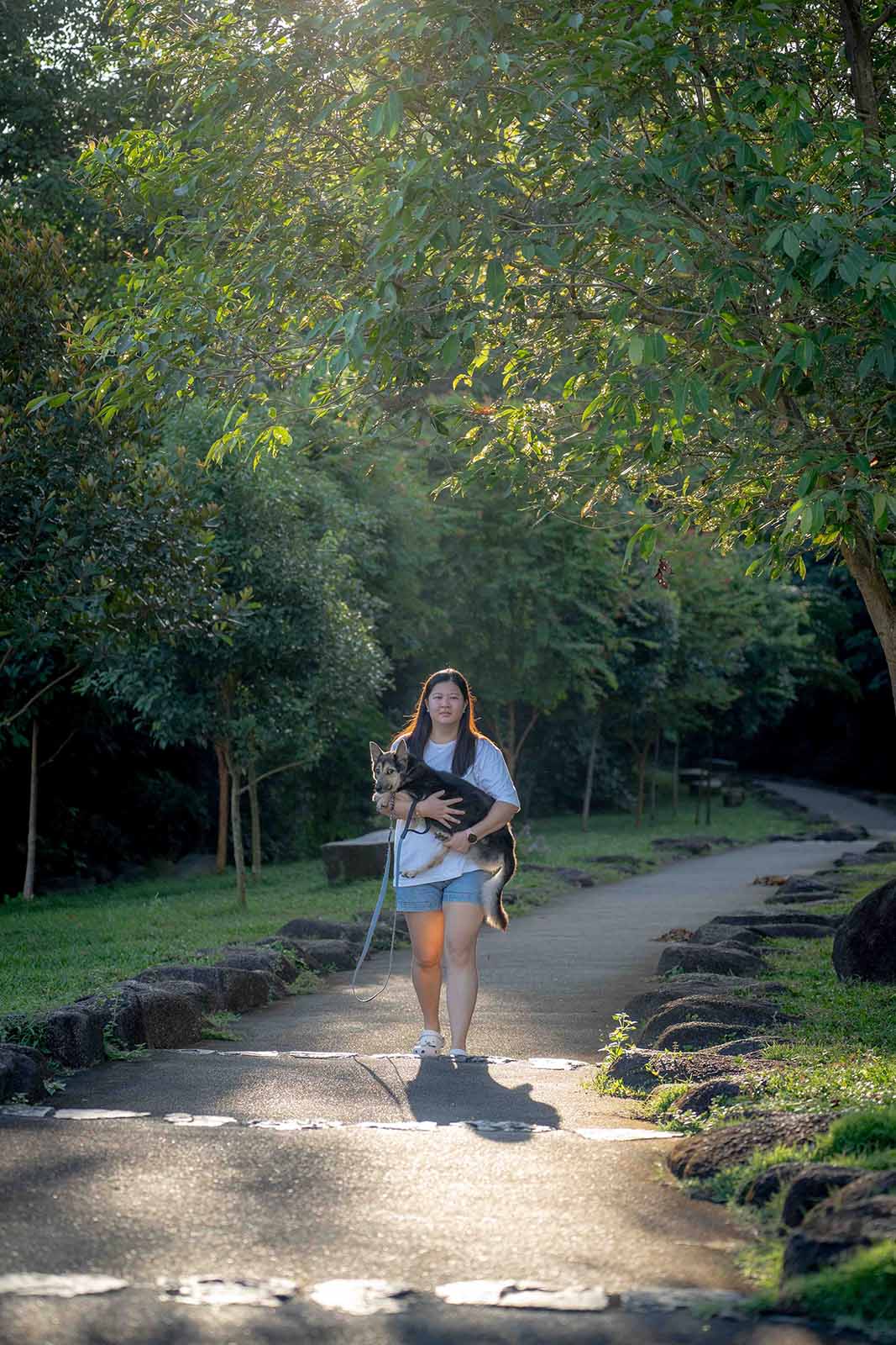 Pet Photography