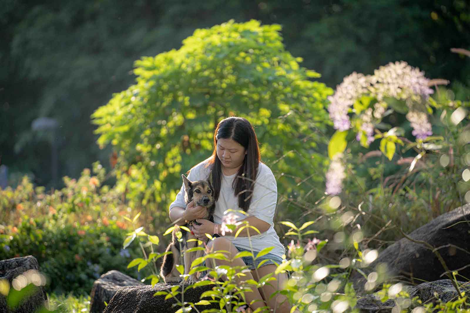 Pet Photography