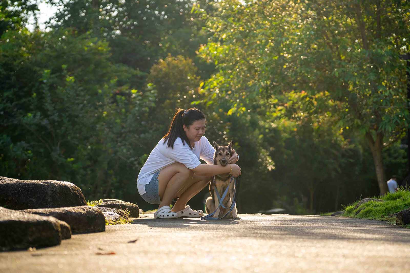 Pet Photography