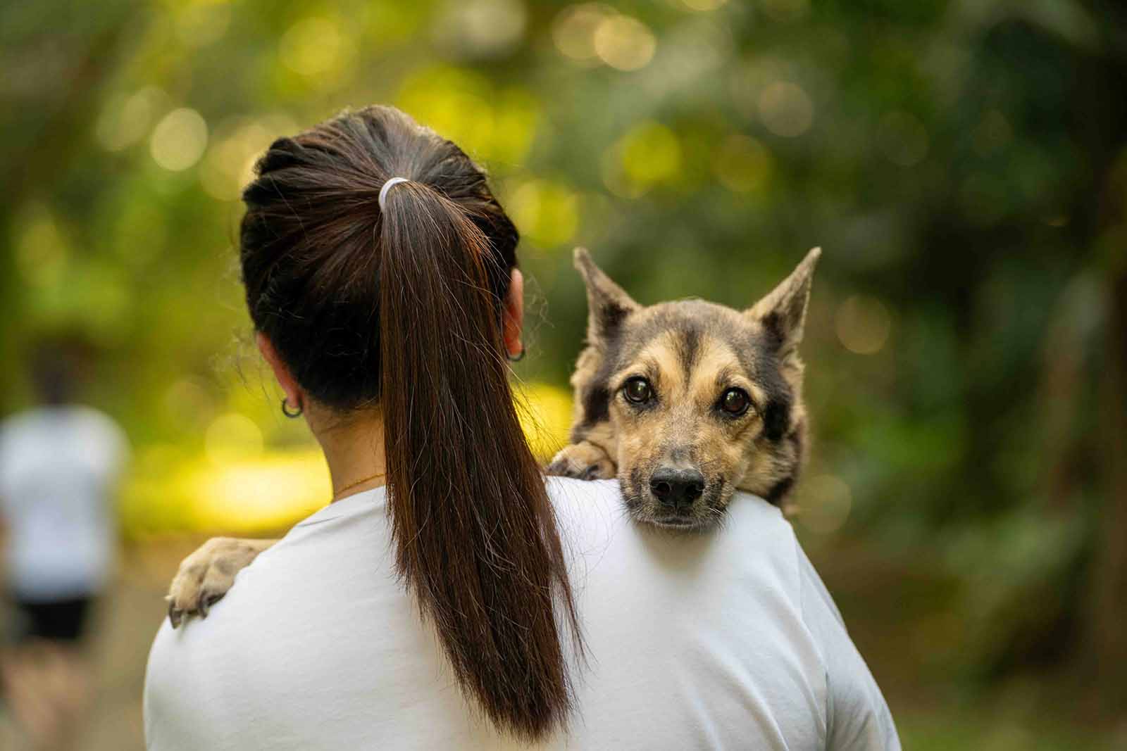 Pet Photography